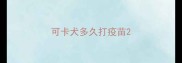 可卡犬多久打疫苗