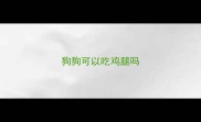 狗狗可以吃鸡腿吗