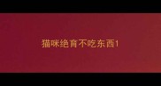 猫咪绝育不吃东西