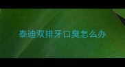 泰迪双排牙口臭怎么办