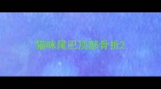 猫咪尾巴顶部骨折