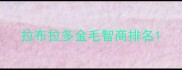 拉布拉多金毛智商排名