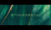 两个月杜宾犬喂食什么