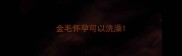 金毛怀孕可以洗澡