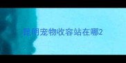 昆明宠物收容站在哪