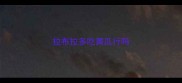 拉布拉多吃黄瓜行吗