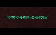 拉布拉多剃毛会去咬吗