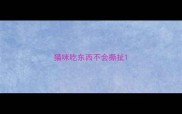 猫咪吃东西不会撕扯