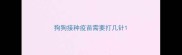 狗狗接种疫苗需要打几针