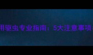 边境牧羊犬外用驱虫专业指南5大注意事项与科学养护全