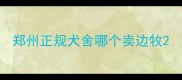 郑州正规犬舍哪个卖边牧