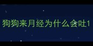 狗狗来月经为什么会吐