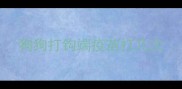 狗狗打钩端疫苗打几次