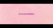 拉布拉多经常爬楼梯