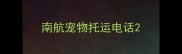 南航宠物托运电话