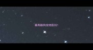 番禺酷狗宠物医院