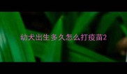 幼犬出生多久怎么打疫苗