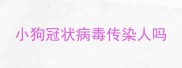 小狗冠状病毒传染人吗