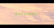 泰迪体内驱虫疫苗