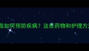 猫咪不打疫苗如何预防疾病这些药物和护理方法请收好