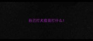 自己打犬疫苗打什么