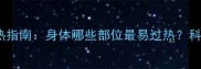 哈士奇夏季散热指南身体哪些部位最易过热科学护理全攻略