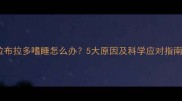 拉布拉多嗜睡怎么办5大原因及科学应对指南