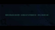 猫咪洗澡后吐食食物应激反应与护理误区全附5大急救方案