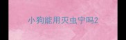 小狗能用灭虫宁吗