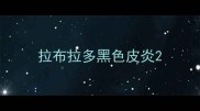 拉布拉多黑色皮炎