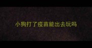 小狗打了疫苗能出去玩吗