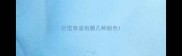 巨型泰迪有哪几种颜色