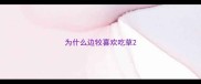 为什么边牧喜欢吃草