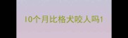 IO个月比格犬咬人吗