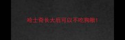 哈士奇长大后可以不吃狗粮