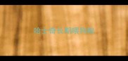 哈士奇长期喂狗粮