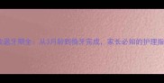 边牧退牙期全从3月龄到换牙完成家长必知的护理指南