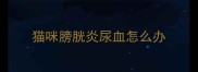猫咪膀胱炎尿血怎么办