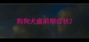 狗狗犬瘟前期症状