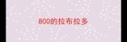 800的拉布拉多