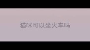 猫咪可以坐火车吗