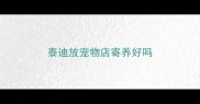 泰迪放宠物店寄养好吗