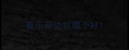 喜乐蒂边牧哪个好