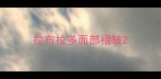 拉布拉多面部褶皱