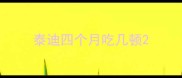 泰迪四个月吃几顿