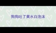 狗狗吐了黄水白泡沫