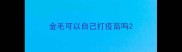 金毛可以自己打疫苗吗