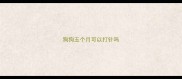 狗狗五个月可以打针吗