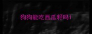 狗狗能吃西瓜籽吗