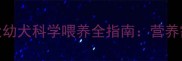 哈士奇三个月大幼犬科学喂养全指南营养需求与喂养禁忌